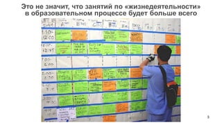 3 
Это не значит, что занятий по «жизнедеятельности» 
в образовательном процессе будет больше всего  