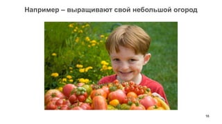 16 
Например – выращивают свой небольшой огород  