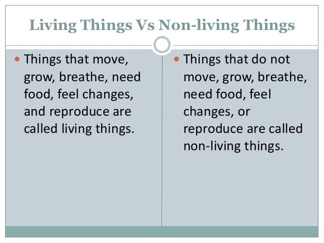 17.living and non living things