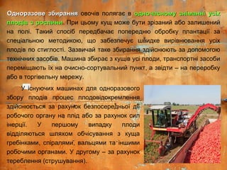 Одноразове збиранняОдноразове збирання овочів полягає в одночасному зніманні усіходночасному зніманні усіх
плодів з рослиниплодів з рослини. При цьому кущ може бути зрізаний або залишений
на полі. Такий спосіб передбачає попередню обробку плантації за
спеціальною методикою, що забезпечує швидке вирівнювання усіх
плодів по стиглості. Зазвичай таке збирання здійснюють за допомогою
технічних засобів. Машина збирає з кущів усі плоди, транспортні засоби
переміщають їх на очисно-сортувальний пункт, а звідти – на переробку
або в торгівельну мережу.
У існуючих машинах для одноразового
збору плодів процес плодовідокремлення
здійснюється за рахунок безпосередньої дії
робочого органу на плід або за рахунок сил
інерції. У першому випадку плоди
відділяються шляхом обчісування з куща
гребінками, спіралями, вальцями та іншими
робочими органами. У другому – за рахунок
тереблення (струшування).
 