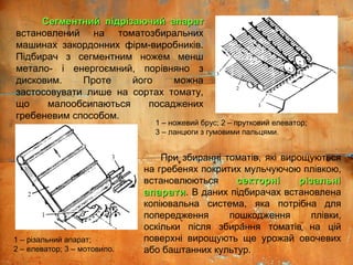 Сегментний підрізаючий апаратСегментний підрізаючий апарат
встановлений на томатозбиральних
машинах закордонних фірм-виробників.
Підбирач з сегментним ножем менш
метало- і енергоємний, порівняно з
дисковим. Проте його можна
застосовувати лише на сортах томату,
що малообсипаються посаджених
гребеневим способом.
При збиранні томатів, які вирощуються
на гребенях покритих мульчуючою плівкою,
встановлюються секторні різальнісекторні різальні
апаратиапарати. В даних підбирачах встановлена
копіювальна система, яка потрібна для
попередження пошкодження плівки,
оскільки після збирання томатів на цій
поверхні вирощують ще урожай овочевих
або баштанних культур.
1 – ножевий брус; 2 – прутковий елеватор;
3 – ланцюги з гумовими пальцями.
1 – різальний апарат;
2 – елеватор; 3 – мотовило.
 