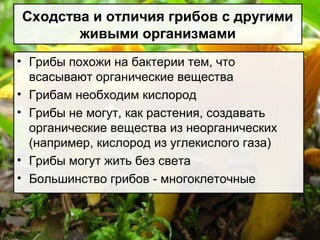 Сходства и отличия грибов с другими
живыми организмами
• Грибы похожи на бактерии тем, что
всасывают органические вещества
• Грибам необходим кислород
• Грибы не могут, как растения, создавать
органические вещества из неорганических
(например, кислород из углекислого газа)
• Грибы могут жить без света
• Большинство грибов - многоклеточные