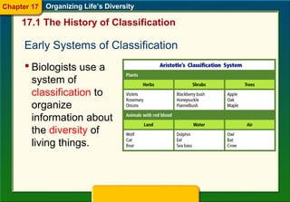 Early Systems of Classification
 Biologists use a
system of
classification to
organize
information about
the diversity of
living things.
17.1 The History of Classification
Organizing Life’s DiversityChapter 17
 