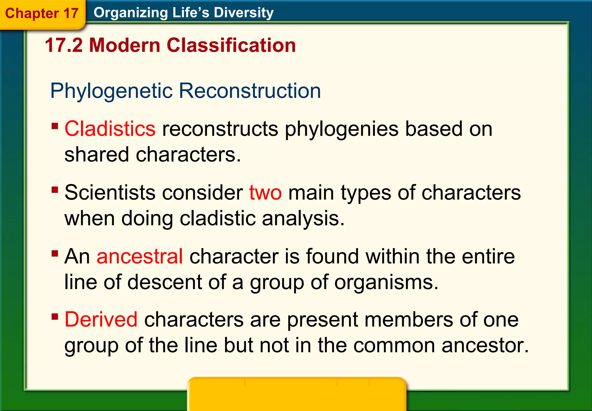 Phylogenetic Reconstruction
Organizing Life’s Diversity
 Cladistics reconstructs phylogenies based on
shared characters.
 Scientists consider two main types of characters
when doing cladistic analysis.
 An ancestral character is found within the entire
line of descent of a group of organisms.
 Derived characters are present members of one
group of the line but not in the common ancestor.
17.2 Modern Classification
Chapter 17
 