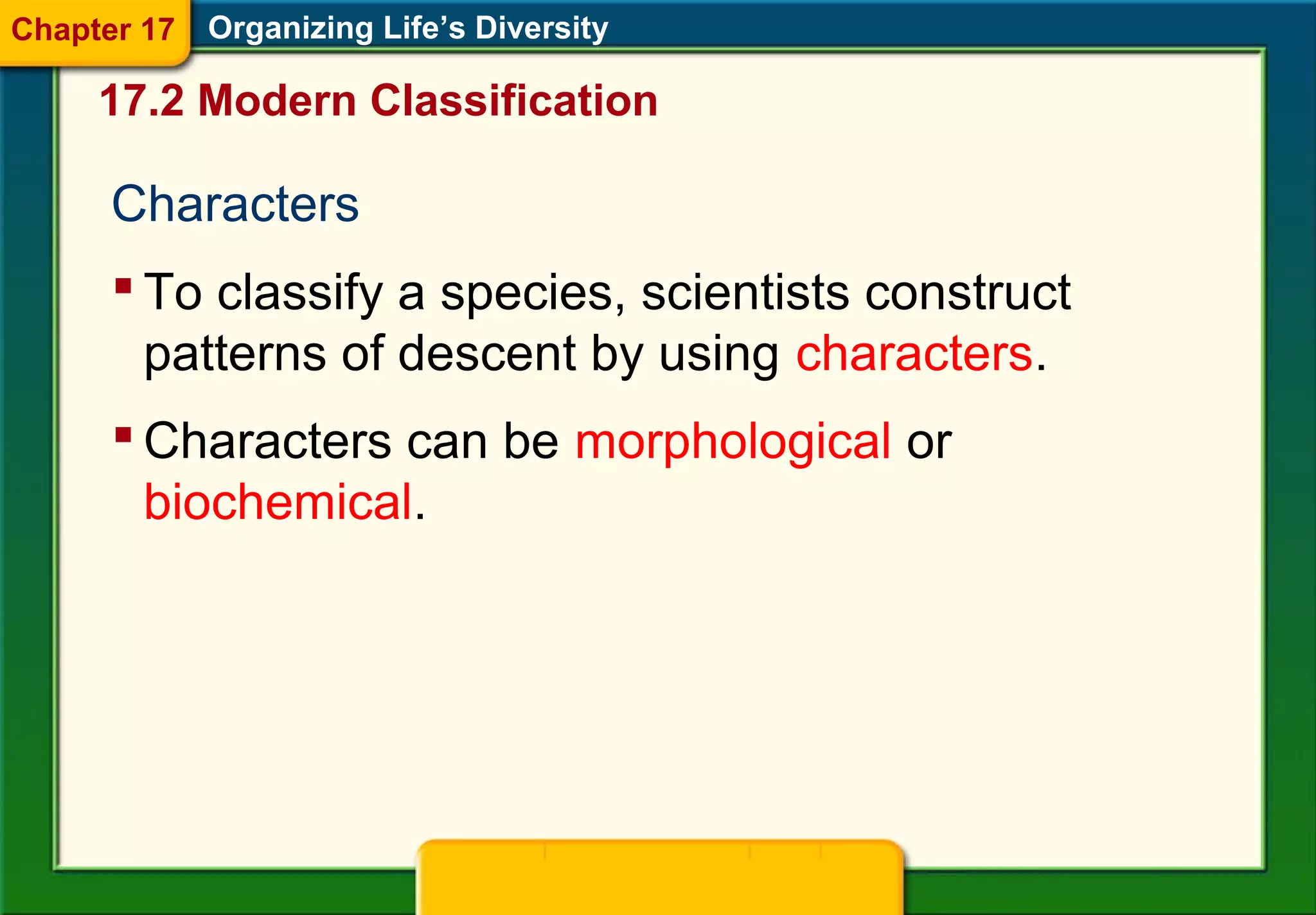 Characters
 To classify a species, scientists construct
patterns of descent by using characters.
Organizing Life’s Diversity
 Characters can be morphological or
biochemical.
17.2 Modern Classification
Chapter 17
 