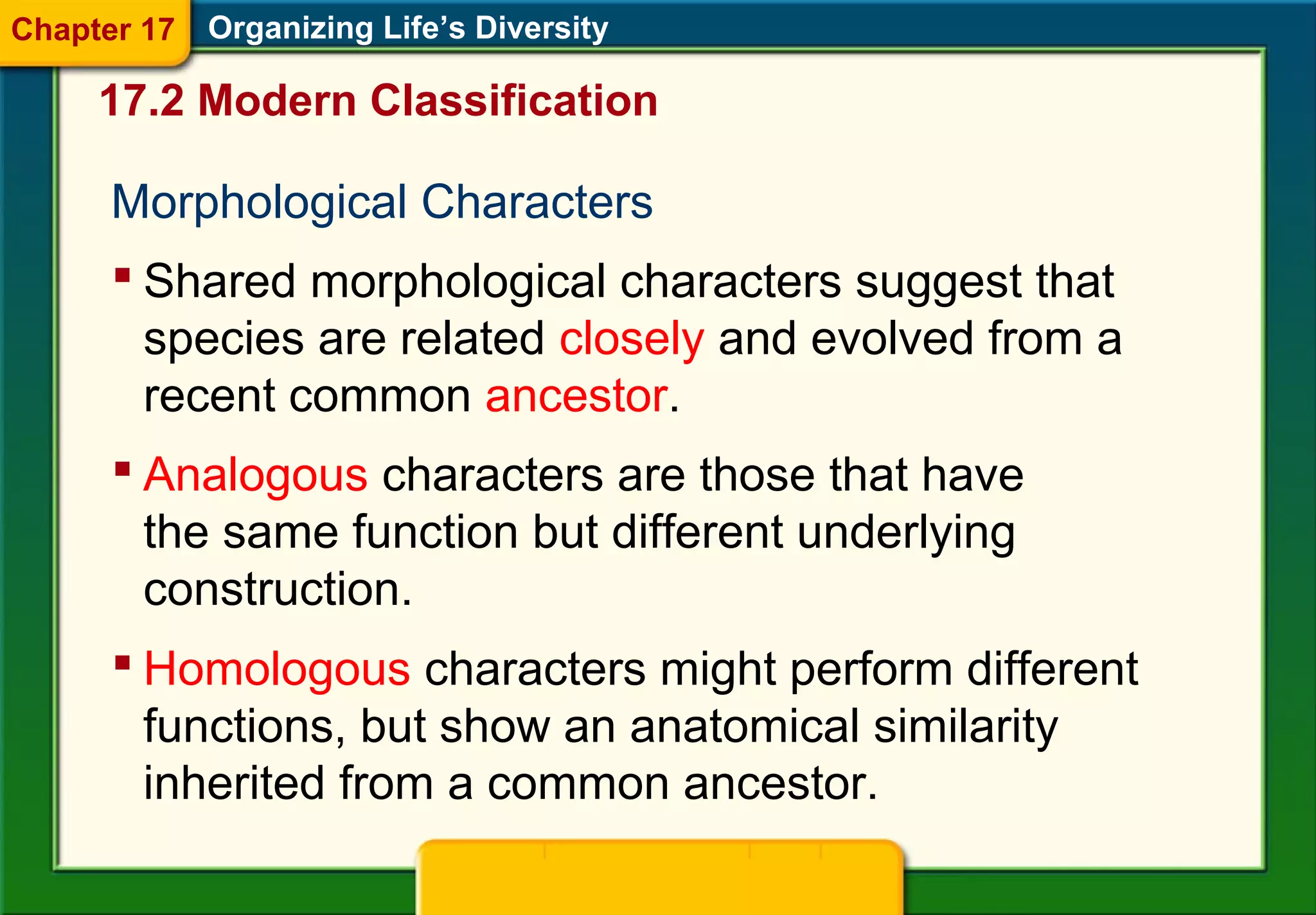 Morphological Characters
 Shared morphological characters suggest that
species are related closely and evolved from a
recent common ancestor.
Organizing Life’s Diversity
 Analogous characters are those that have
the same function but different underlying
construction.
 Homologous characters might perform different
functions, but show an anatomical similarity
inherited from a common ancestor.
17.2 Modern Classification
Chapter 17
 