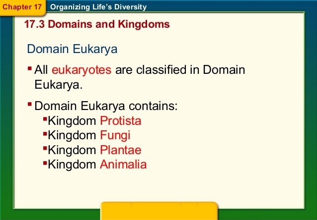 17 3 Domains And Kingdoms Chapter 17 4 Domain Eukarya 17 3 Domains And Kingdoms Chapter 17 4 Domain Eukarya