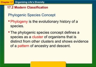 17.2 modern classification | PPT