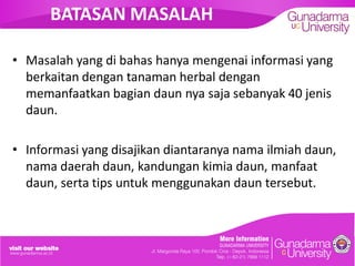 BATASAN MASALAH
• Masalah yang di bahas hanya mengenai informasi yang
berkaitan dengan tanaman herbal dengan
memanfaatkan bagian daun nya saja sebanyak 40 jenis
daun.
• Informasi yang disajikan diantaranya nama ilmiah daun,
nama daerah daun, kandungan kimia daun, manfaat
daun, serta tips untuk menggunakan daun tersebut.
 