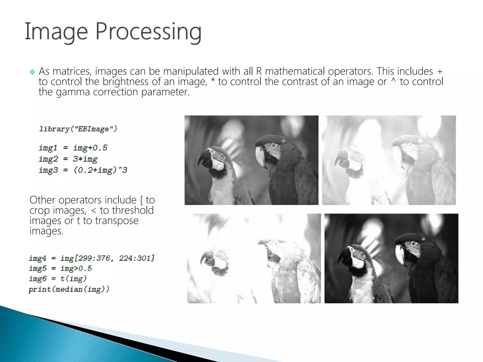  As matrices, images can be manipulated with all R mathematical operators. This includes +
to control the brightness of an image, * to control the contrast of an image or ^ to control
the gamma correction parameter.
Other operators include [ to
crop images, < to threshold
images or t to transpose
images.
 