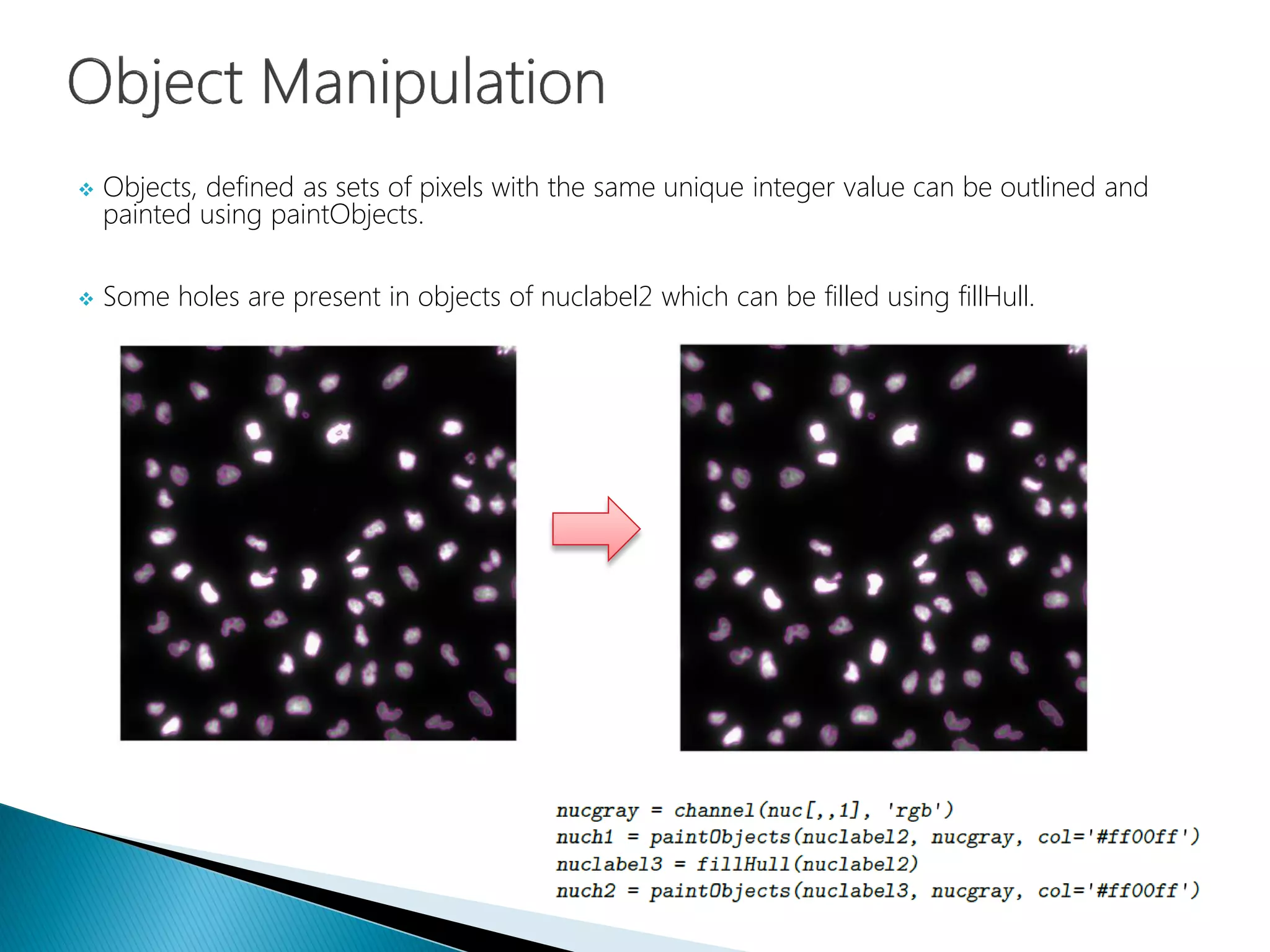  Objects, defined as sets of pixels with the same unique integer value can be outlined and
painted using paintObjects.
 Some holes are present in objects of nuclabel2 which can be filled using fillHull.
 