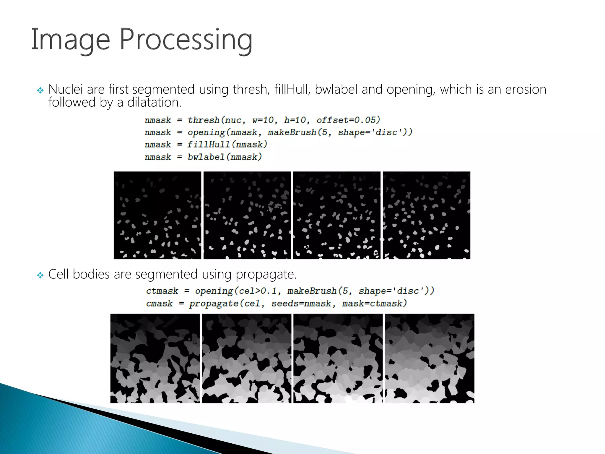  Nuclei are first segmented using thresh, fillHull, bwlabel and opening, which is an erosion
followed by a dilatation.
 Cell bodies are segmented using propagate.
 