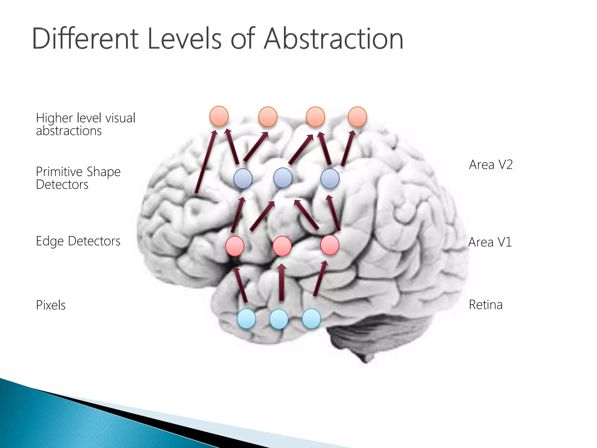 Higher level visual
abstractions
Area V2
Area V1
Retina
Primitive Shape
Detectors
Edge Detectors
Pixels
 