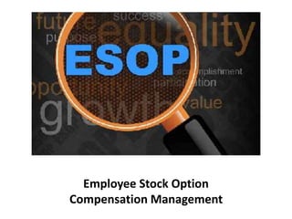 Employee Stock Option
Compensation Management
 