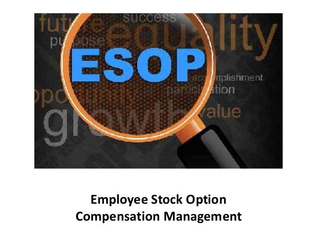 Stock options startup compensation