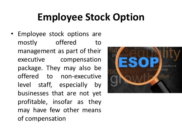 Management compensation stock options