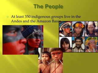  At least 350 indigenous groups live in the
Andes and the Amazon Basin.
 