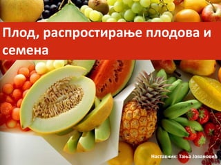 Наставник: Тања Јовановић
Плод, распростирање плодова и
семена
 