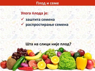 Улога плода је:
 заштита семена
 распростирање семена
Шта на слици није плод?
Плод и семе
 