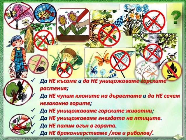 17. Опазване на природата - РК, Просвета, В. П.