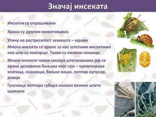 Значај инсеката
 Инсекти су опрашивачи
 Храна су другим животињама
 Утичу на растреситост земишта – мрави
 Многи инсекти се хране за нас штетним инсектима
као што су комарци. Такви су вилини коњици
 Многе инсекте човек сматра штеточинама јер се
хране деловима биљака које гаје – кромпирова
златица, скакавци, биљне ваши, лептир купусар,
ровци
 Гусеница лептира губара наноси велике штете
шумама
 