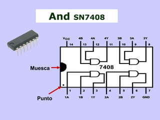 And SN7408
Punto
Muesca
 
