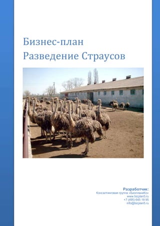 Бизнес-план
Разведение Страусов
Разработчик:
Консалтинговая группа «БизпланиКо»
www.bizplan5.ru
+7 (495) 645 18 95
info@bizplan5.ru
 