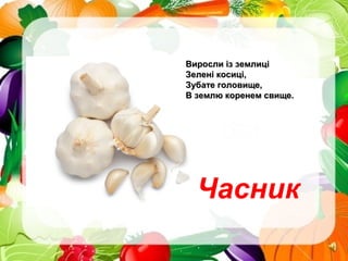 Часник
Виросли із землиціВиросли із землиці
Зелені косиці,Зелені косиці,
Зубате головище,Зубате головище,
В землю коренем свище.В землю коренем свище.
 