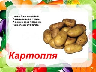 Навесні ми у землицюНавесні ми у землицю
Посадили диво-птицю,Посадили диво-птицю,
А вона в своє гніздечкоА вона в своє гніздечко
Нанесла аж сто яєчок.Нанесла аж сто яєчок.
Картопля
 