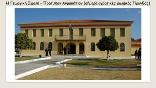 Η Γεωργική Σχολή – Πρότυπον Αγροκήπιον (σήμερα αγροτικές φυλακές Τίρυνθας)
 