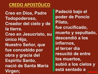 CREDO APOSTÓLICO
Creo en Dios, Padre
Todopoderoso,
Creador del cielo y de
la tierra.
Creo en Jesucristo, su
único Hijo,
Nu...