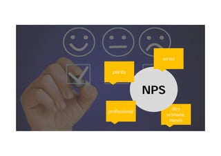 dies
setmana,
mesos
dies
setmana,
mesos
NPS
serveiservei
plantaplanta
professionalprofessional
 
