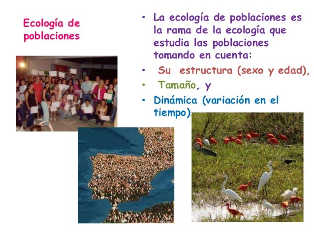 17. ecología de poblaciones