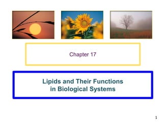 Chapter 17




Lipids and Their Functions
   in Biological Systems



                             1
 