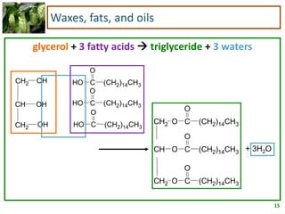 15
glycerol + 3 fatty acids  triglyceride + 3 waters
Waxes, fats, and oils
OHCH2
OH
OHCH2
CH
O
(CH2)14CH3CHO
O
(CH2)14CH3CHO
O
(CH2)14CH3CHO
+ 3H2O
O
O
C (CH2)14CH3
CH O
O
C (CH2)14CH3
CH2 O
O
C (CH2)14CH3
CH2
 