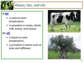 17
Waxes, fats, and oils
A fat
• is solid at room
temperature.
• is prevalent in meats, whole
milk, butter, and cheese.
An oil
• is liquid at room
temperature.
• is prevalent in plants such as
olive and safflower.
 