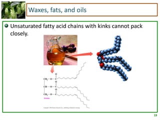 19
Waxes, fats, and oils
Unsaturated fatty acid chains with kinks cannot pack
closely.
 