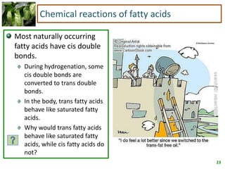 23
Chemical reactions of fatty acids
Most naturally occurring
fatty acids have cis double
bonds.
During hydrogenation, some
cis double bonds are
converted to trans double
bonds.
In the body, trans fatty acids
behave like saturated fatty
acids.
Why would trans fatty acids
behave like saturated fatty
acids, while cis fatty acids do
not?
 
