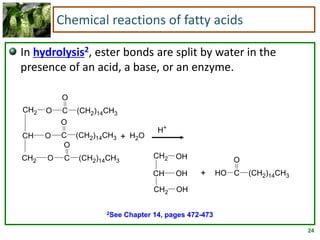 24
Chemical reactions of fatty acids
In hydrolysis2, ester bonds are split by water in the
presence of an acid, a base, or an enzyme.
OCH2
OCH
OCH2
OHCH2
OHCH
OHCH2 O
(CH2)14CH3CHO
H2O
O
(CH2)14CH3C
O
(CH2)14CH3C
O
(CH2)14CH3C
H+
+
+
2See Chapter 14, pages 472-473
 