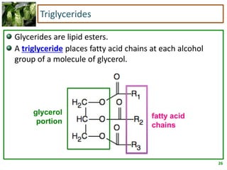 26
Triglycerides
Glycerides are lipid esters.
A triglyceride places fatty acid chains at each alcohol
group of a molecule of glycerol.
glycerol
portion
fatty acid
chains
 