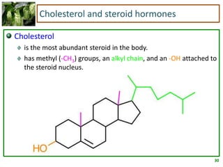 30
Cholesterol and steroid hormones
Cholesterol
is the most abundant steroid in the body.
has methyl (-CH3) groups, an alkyl chain, and an -OH attached to
the steroid nucleus.
 