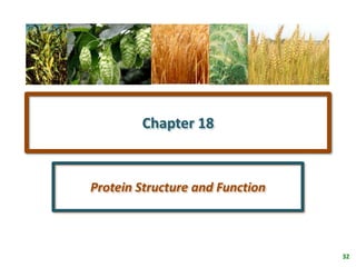 32
Chapter 18
Protein Structure and Function
 
