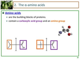34
2. The α-amino acids
Amino acids
are the building blocks of proteins.
contain a carboxylic acid group and an amino group
 