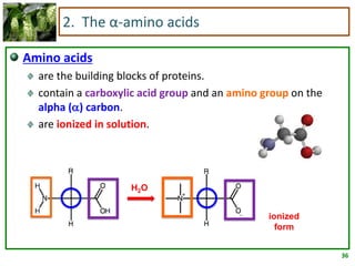 36
2. The α-amino acids
Amino acids
are the building blocks of proteins.
contain a carboxylic acid group and an amino group on the
alpha () carbon.
are ionized in solution.
H2O
ionized
form
 