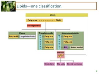 4
Lipids—one classification
 