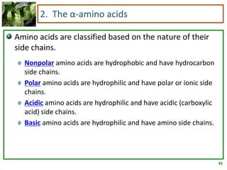 41
2. The α-amino acids
Amino acids are classified based on the nature of their
side chains.
Nonpolar amino acids are hydrophobic and have hydrocarbon
side chains.
Polar amino acids are hydrophilic and have polar or ionic side
chains.
Acidic amino acids are hydrophilic and have acidic (carboxylic
acid) side chains.
Basic amino acids are hydrophilic and have amino side chains.
 