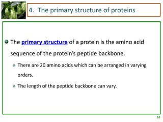 52
4. The primary structure of proteins
The primary structure of a protein is the amino acid
sequence of the protein’s peptide backbone.
There are 20 amino acids which can be arranged in varying
orders.
The length of the peptide backbone can vary.
 