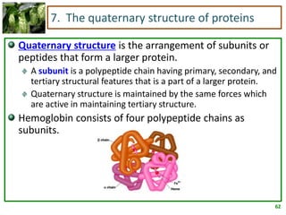 62
7. The quaternary structure of proteins
Quaternary structure is the arrangement of subunits or
peptides that form a larger protein.
A subunit is a polypeptide chain having primary, secondary, and
tertiary structural features that is a part of a larger protein.
Quaternary structure is maintained by the same forces which
are active in maintaining tertiary structure.
Hemoglobin consists of four polypeptide chains as
subunits.
 