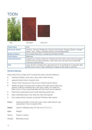TIMBER IDENTIFICATION MANUAL | PDF