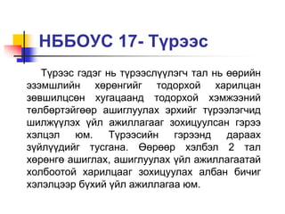 17 | PPT